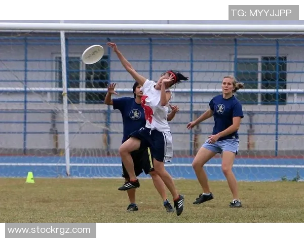 重庆飞盘队的默契配合与战术探讨聚焦团队协作与竞技精神