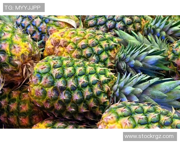 水果的多样魅力：探索全球特色水果的营养价值与健康益处