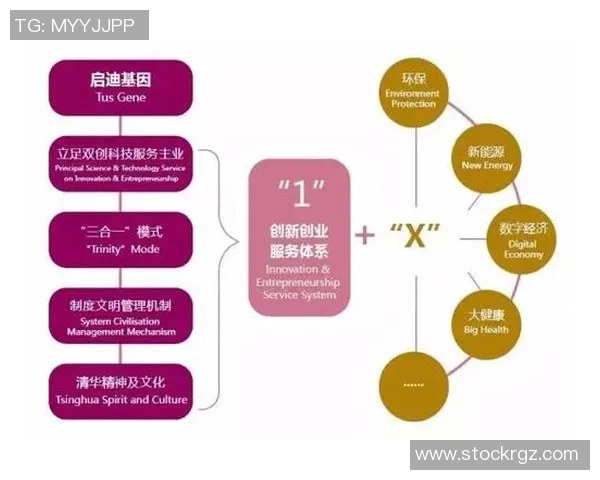 财税管理创新与优化路径探索及实践案例分析