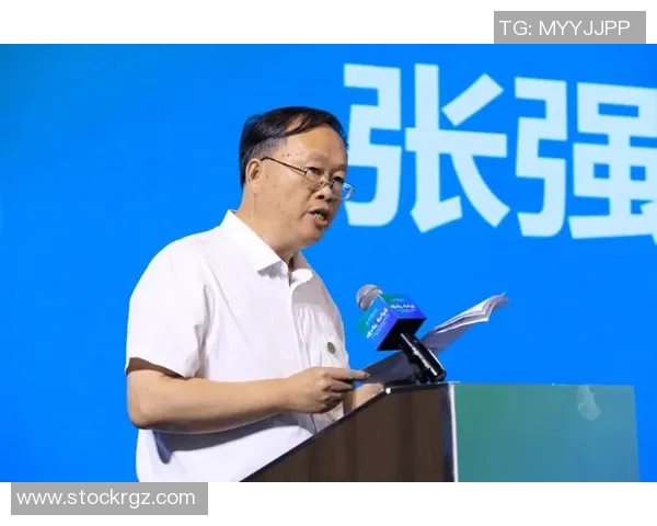 张强专访揭秘网球成功秘诀与职业生涯背后的故事与挑战